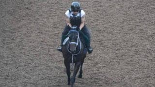 マジカルフェアリーなど、先週の入厩情報/栗東トレセンニュース