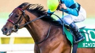 “偉大な者”が関屋記念で2年半ぶり復活Vへ 京成杯制覇のコンビで挑む