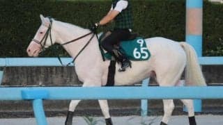 エクラドネージュなど、先週のゲート試験/栗東トレセンニュース