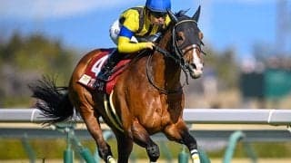 豪G1・コックスプレート＆コーフィールドCの予備登録馬が発表 日本からはプログノーシスなど5頭