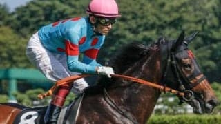 豪G1馬の妹が小倉記念参戦 きょうだい3頭目のタイトル奪取なるか