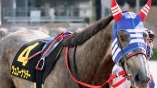 シチー軍団11年ぶりのJRA重賞制覇へ 1年半の休養明けから2戦目の小倉記念で復活Vなるか