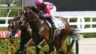 【関屋記念展望】直線が長い新潟でも、近年は先行馬が活躍傾向