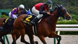 “花の12期生”のひとりが3年ぶりのJRA重賞Vへ 秋華賞4着の実績馬とともに小倉記念に挑む