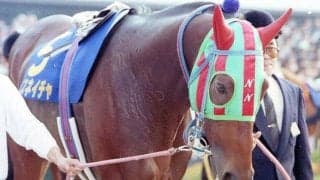 愛された名馬ナイスネイチャ 羽ばたくきっかけとなった小倉記念