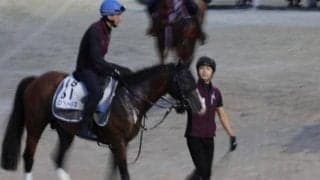 プログノーシス、札幌記念1週前追い切り速報/栗東トレセンニュース