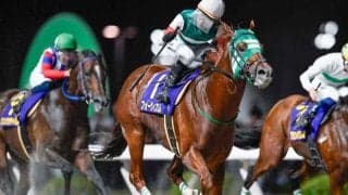 【川崎・スパーキングサマーC結果】フォーヴィスムが強烈な末脚で差し切りV！重賞初制覇