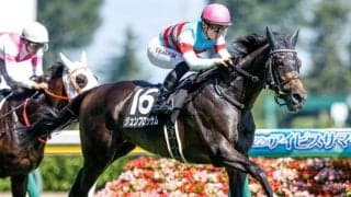 【関屋記念予想】AIは人気的に“おもしろい”一頭をチョイス 真っ先に注目すべきは性齢差と馬体重