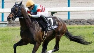 勝てば産駒初のJRA重賞V 昨年種牡馬引退ワールドエースの仔が関屋記念に挑む