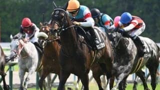 【関屋記念出走馬・騎手確定】ジュンブロッサム＆戸崎圭太騎手、プレサージュリフト＆C.ルメール騎手など18頭
