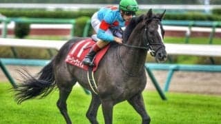 香港ヴァーズ2勝グローリーヴェイズの半妹 日曜札幌でデビューV狙う