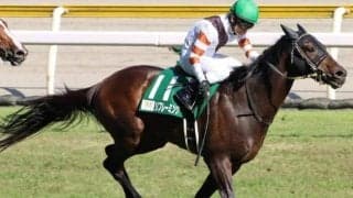 JRA現役馬は残り3頭 キングヘイロー産駒が小倉記念で5年ぶりJRA重賞Vヘ