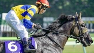 “若手のホープ” が重賞初Vへ GI・3着馬と共に関屋記念に参戦