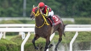 【北海道スプリントC】JRAエートラックスなどが出走予定