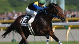 “大王”キングカメハメハ没後5年 輝かしい功績の数々は今なお色あせず