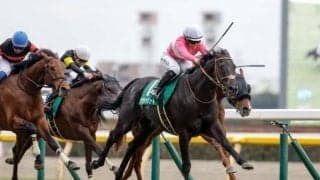 【関屋記念枠順確定】サクラトゥジュールは2枠4番、ディスペランツァは1枠1番