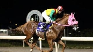 登録はたった4頭！ フラットライナーズ産駒が8日に初出走、初勝利