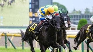 【関屋記念予想】瞬発力より持続力 新潟外回りコースを攻略し夏のマイル王争いで一歩前に出るのは？