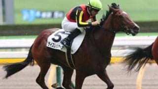 後の“7馬身差レコードV馬”と差のない競馬を経験 良血サートゥルナーリア産駒が2戦目で決めるか