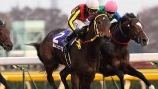 天皇賞(春)連覇の父に産駒初勝利を届けるか 祖母には名牝ブエナビスタの良血が初陣Vへ