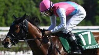 【CBC賞想定馬・騎手】ピューロマジック、サウンドビバーチェなど21頭