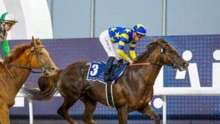 【盛岡・クラスターC枠順】ドバイGS以来の実戦となるドンフランキーは5枠7番