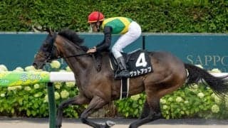 札幌ダートはキンカメ系を狙え 大雪HCはルーラーシップ産駒のゲットアップだ