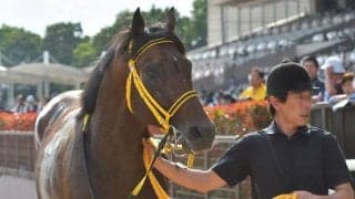 【今日の注目ポイント】新潟でダートのオープン・BSN賞など
