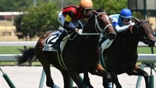 【中京5R新馬戦結果】ディスクリートキャット産駒エイシンワンドが人気に応えてV