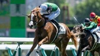 【札幌5R新馬戦結果】オルフェーヴル産駒クリノメイが好位抜け出しV