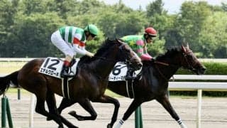 【新馬/新潟5R】モーリス産駒 ジーティーマンが抜け出す