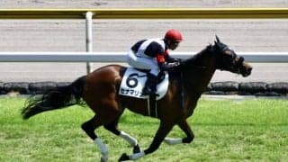 【新馬/新潟6R】断然人気セナマリンがデビュー勝ち