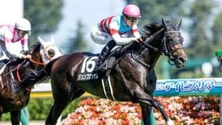 【関屋記念前日オッズ】ジュンブロッサムが3.7倍で1番人気