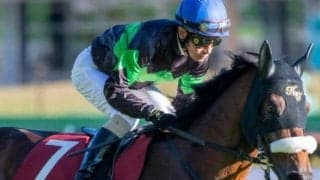 新潟芝はロードカナロア産駒に注目 伏兵タイムトゥヘヴンの末脚に期待