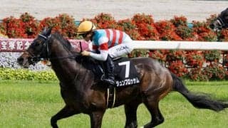 【AI予想・関屋記念】マイルで素質開花か 重賞未勝利もポテンシャルの高さは証明済み