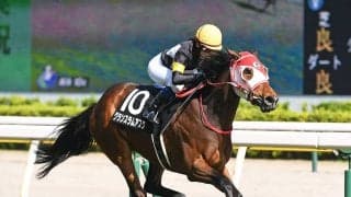 小倉記念は灼熱の中京開催で波乱の予感...穴馬券必勝法で高配当ゲットなるか