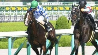 【関屋記念予想】傾向抽出すれば全体像クッキリ 過去データから探るGIII関屋記念