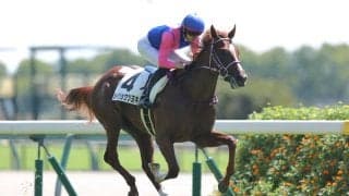 【中京1R】メイショウツヨキが人気に応える…2馬身差で快勝