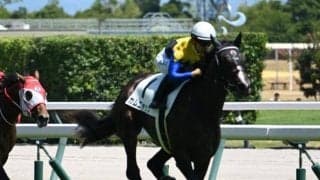 【中京5R新馬戦結果】ブラックタイド産駒カムニャックが断然人気に応えて完勝