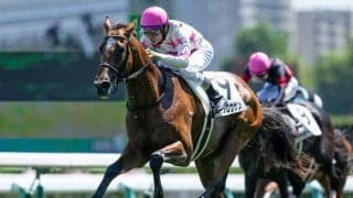 【札幌5R新馬戦結果】イントゥミスチーフ産駒マテンロウサンが4馬身差で快勝