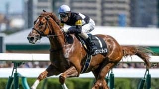 【コスモス賞結果】アスクシュタインが7馬身差Vでデビュー2連勝