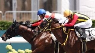 【札幌6R】武豊ダノンスウィッチが人気に応える