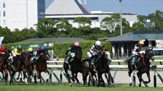 【JRA・WIN5】本日のWIN5は的中204票、配当220万7450円