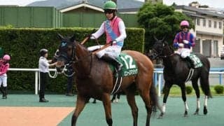 【CBC賞】ピューロマジック、サウンドビバーチェらが登録