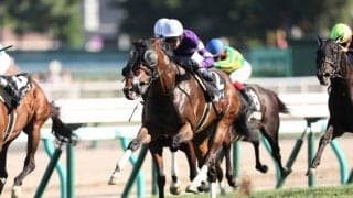 【UHB賞】武豊本日4勝の固め打ち！プルパレイで鮮やかに抜け出す