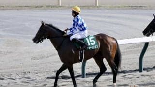 【関屋記念】松山「待つ余裕もあるくらい強かった」トゥードジボンが鮮やかに逃げ切る