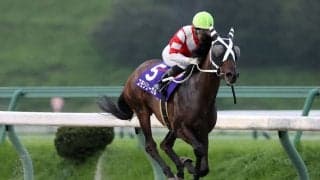 【盛岡・ひまわり賞】コモリリーガルが5馬身差完勝…村上忍「今後も楽しみ」