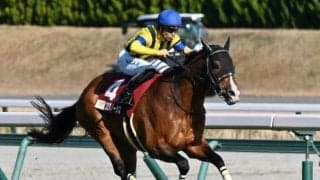 札幌で札幌記念と中京でCBC賞/今週の競馬界の見どころ