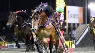 【ばんえいグランプリ】メムロボブサップが4連覇…阿部「勝ててホッとしています」