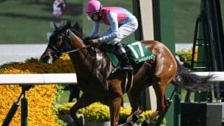 【CBC賞見どころ】ピューロマジックの3連勝に期待